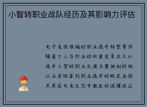 小智转职业战队经历及其影响力评估